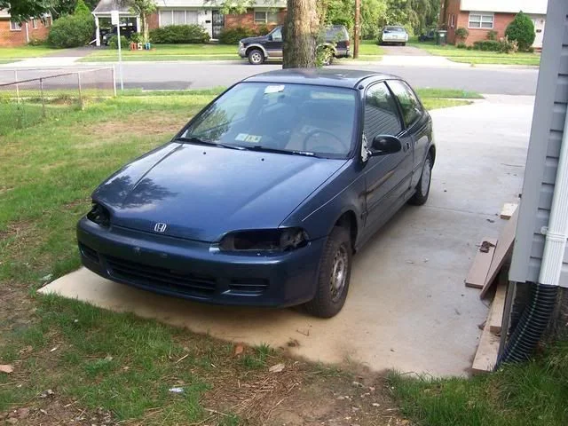 Strip or mask trim and clean the panels